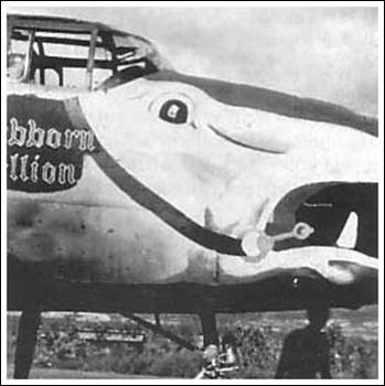 B-25_Stubborn-Hellion-2_scubakavieng